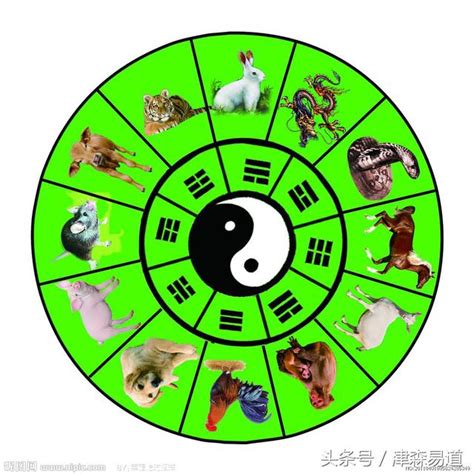 八卦 動物|易經八卦:八卦卦象,含義,八卦關係,八卦與五行,八卦與。